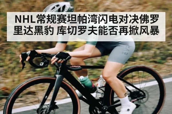 NHL常规赛坦帕湾闪电对决佛罗里达黑豹 库切罗夫能否再掀风暴