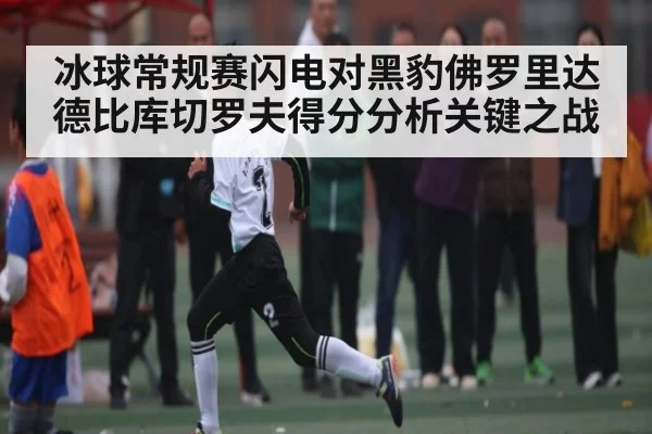 冰球常规赛闪电对黑豹佛罗里达德比库切罗夫得分分析关键之战